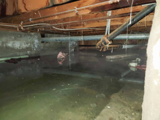 Best Water damage restoration cost  in Oakland, CA
