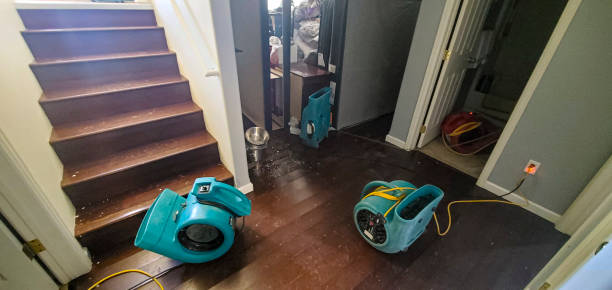 Best Fire Damage Restoration  in Oakland, CA