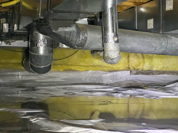 Best Mold removal after water damage  in Oakland, CA