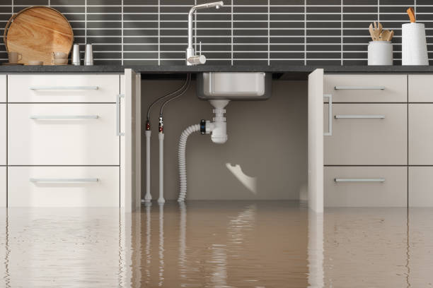 Best Water damage restoration near me  in Oakland, CA