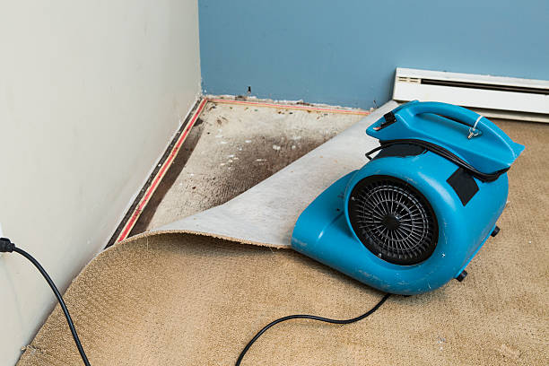Best Sewage cleanup and water damage restoration  in Oakland, CA